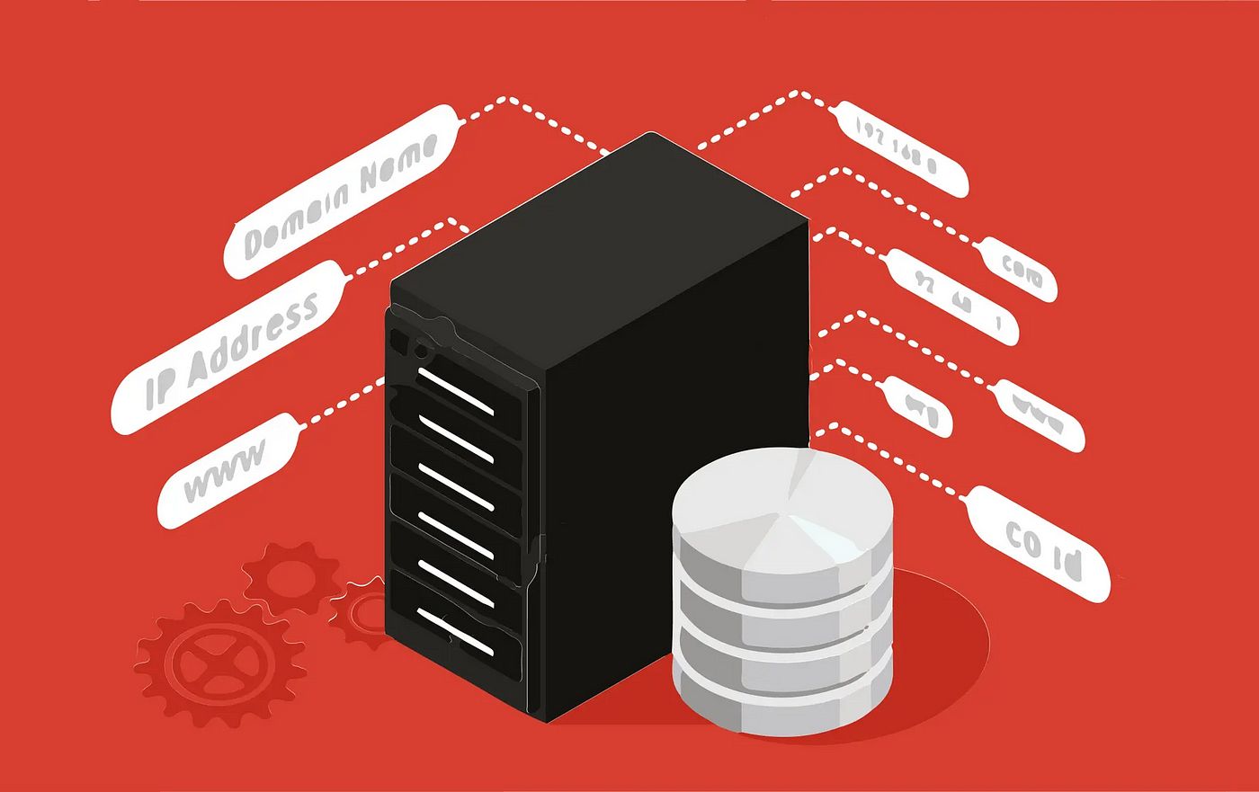 DNS ve Domain: İnternetin Temel Taşları